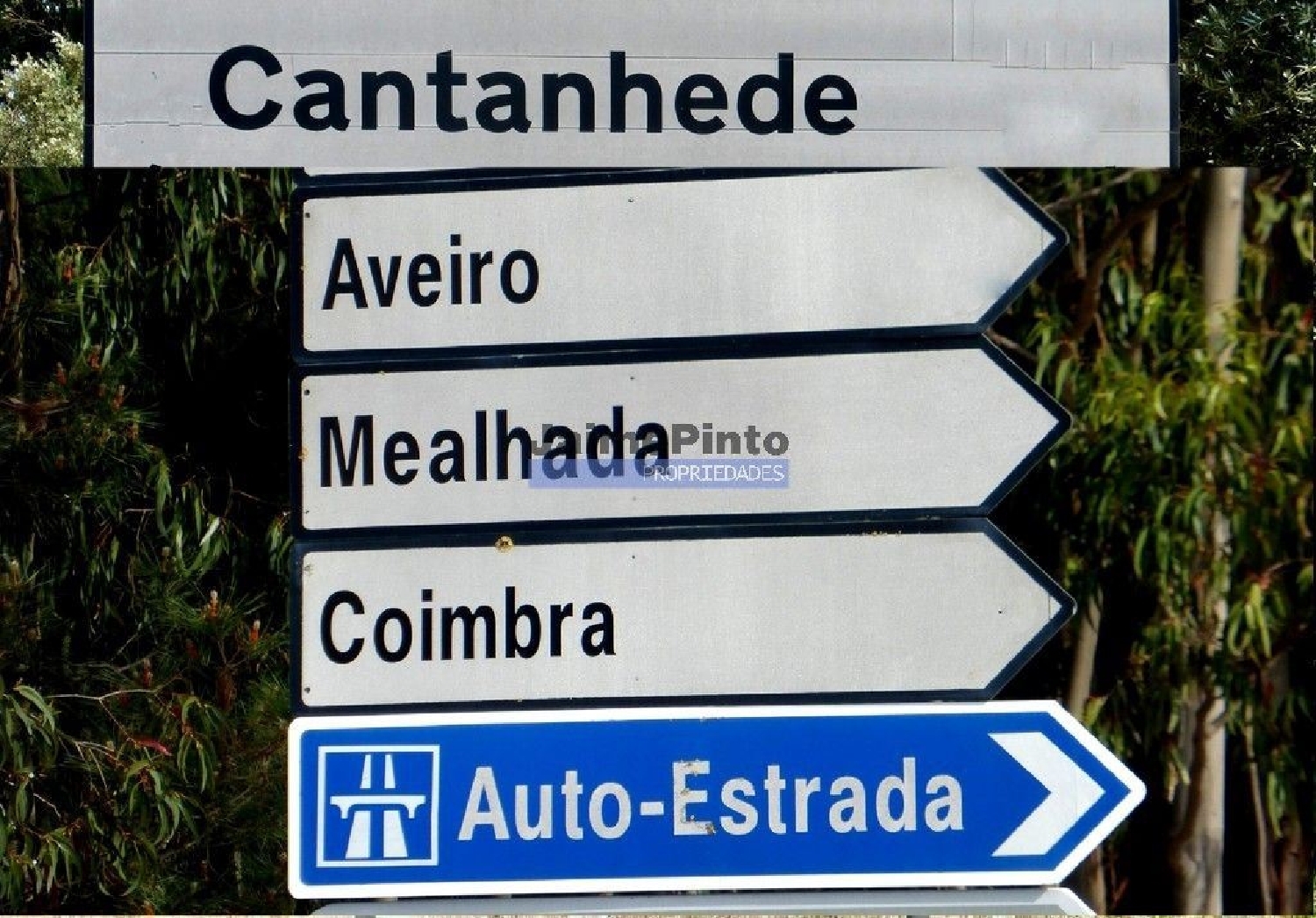 te koop huis Cantanhede Cantanhede 2