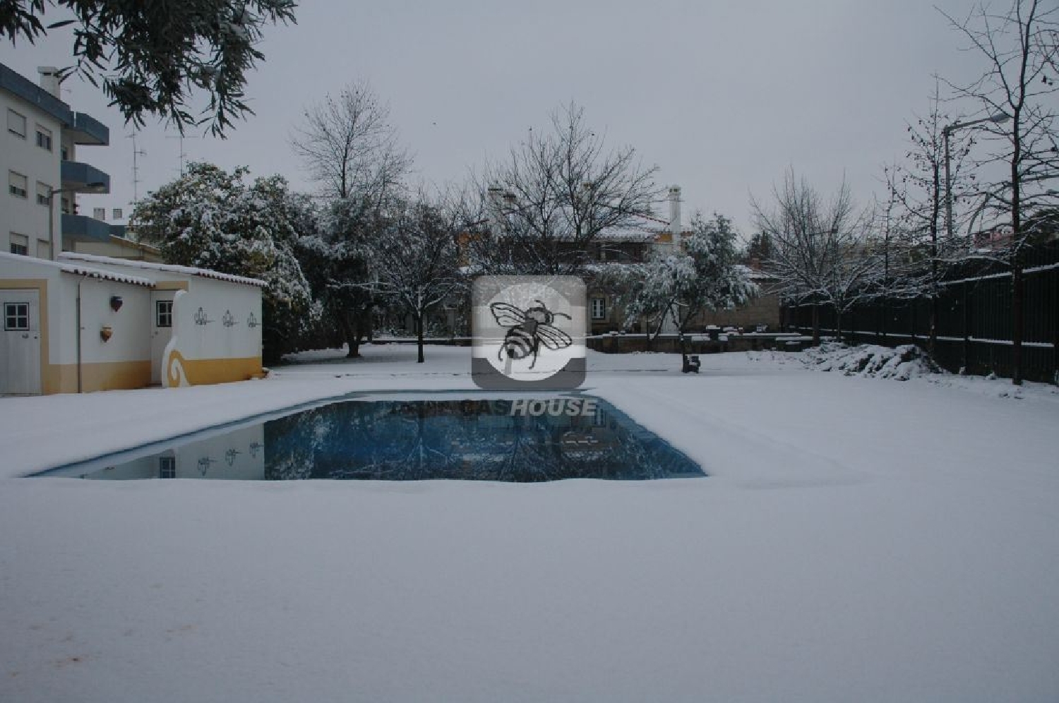  for sale house Castelo Branco Castelo Branco 2