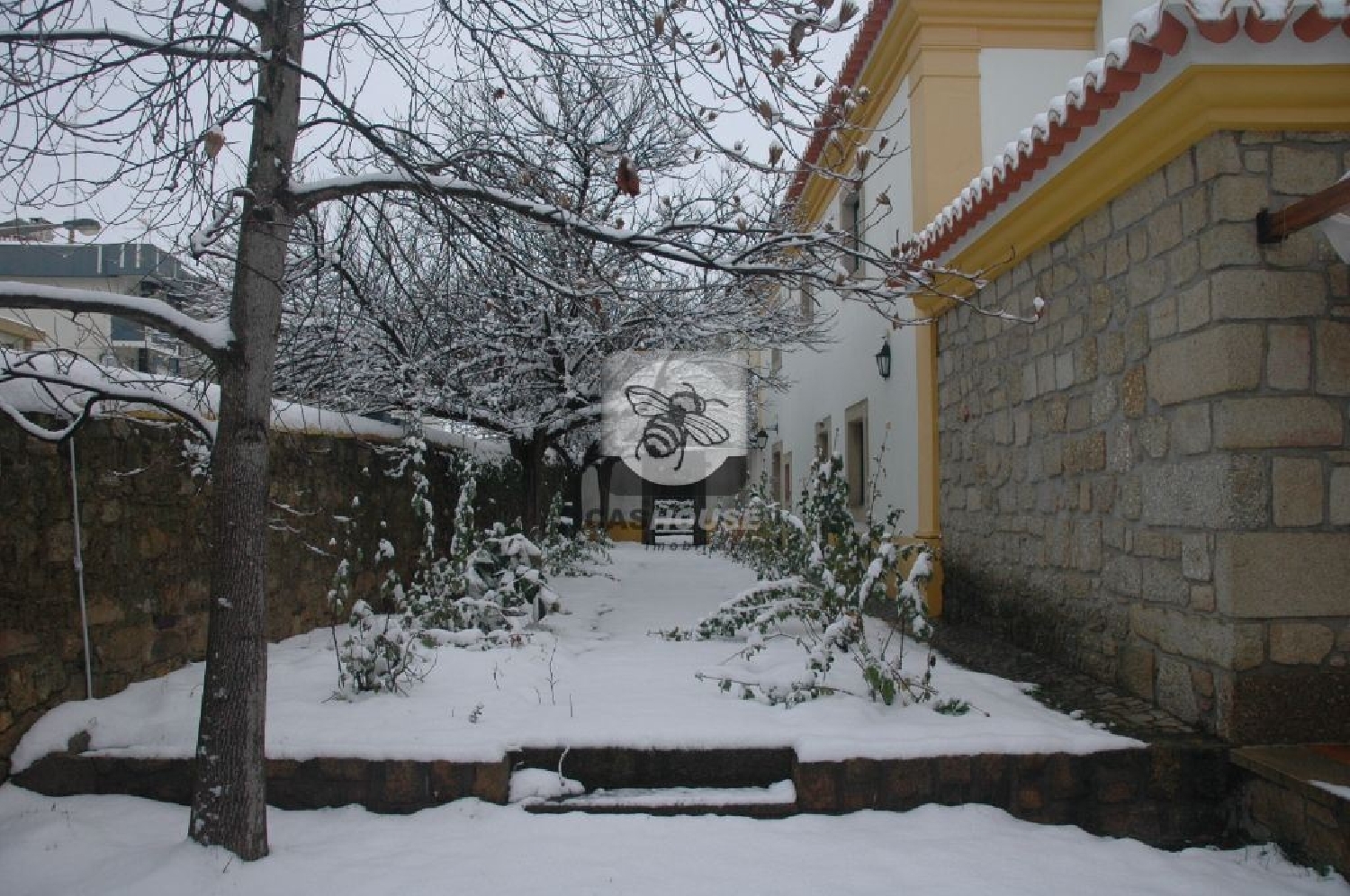  for sale house Castelo Branco Castelo Branco 3