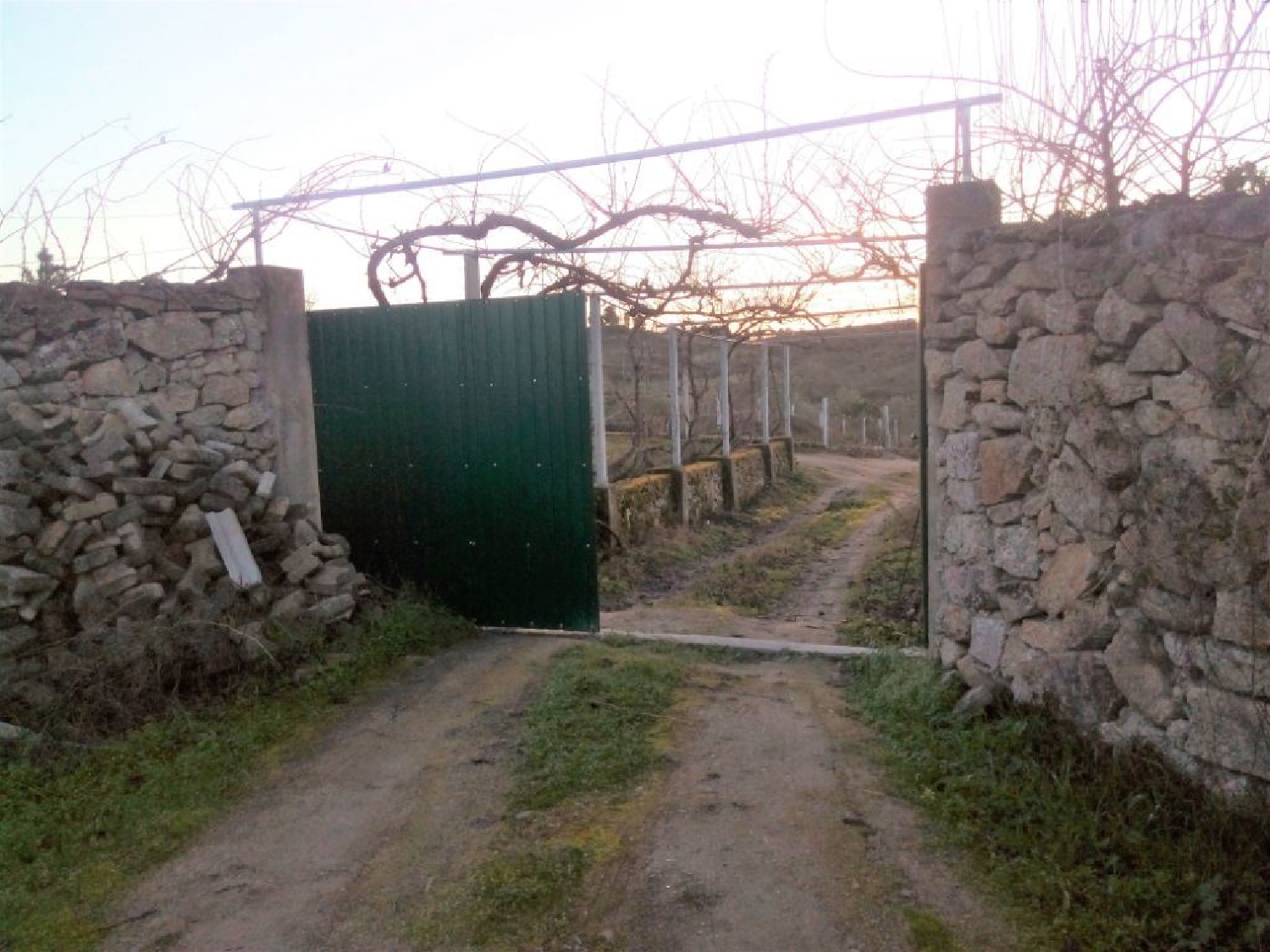  te koop huis Castelo Branco Castelo Branco 1