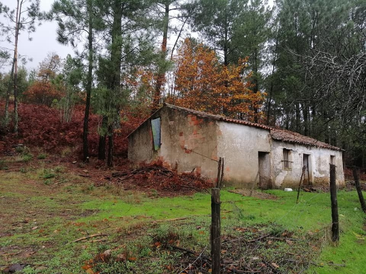  te koop huis Castelo de Vide Castelo De Vide 1
