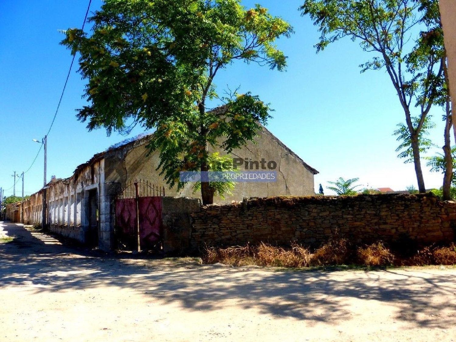 te koop huis Castelo Rodrigo Figueira De Castelo Rodrigo 3