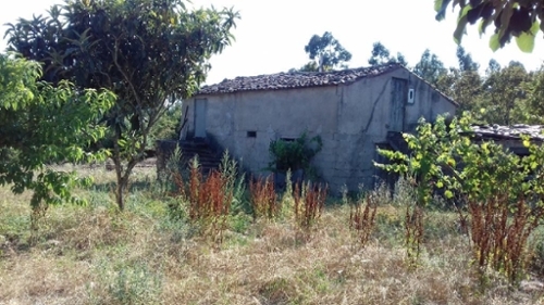 Castelo Sertã huis foto 327161
