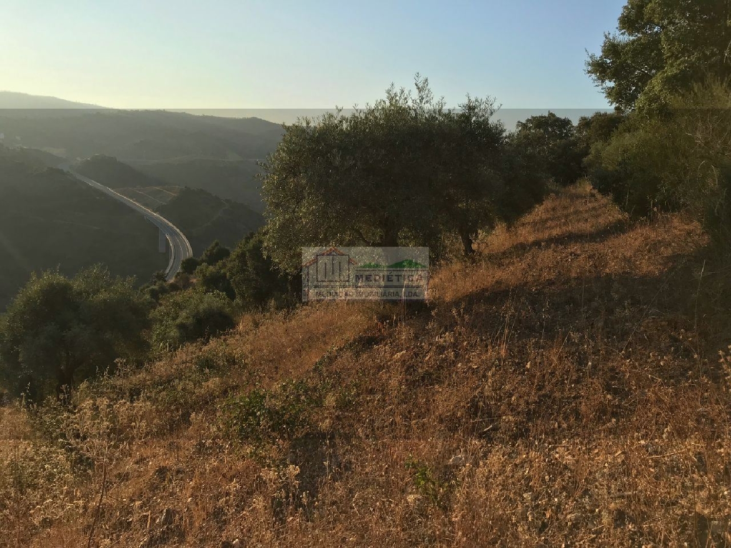 à venda casa Cerejais Alfândega Da Fé 3
