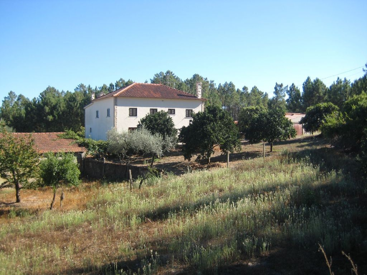  te koop huis Cernache do Bonjardim Sertã 1