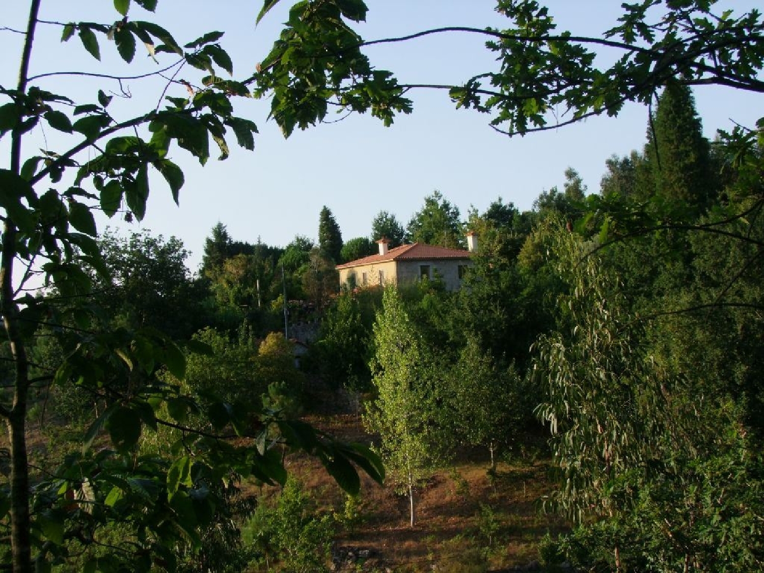  te koop huis Codesseda Paredes De Coura 1