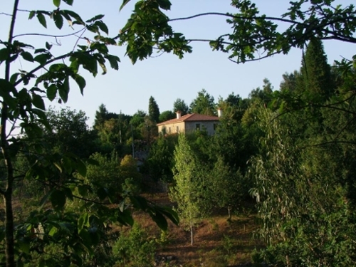 Codesseda Paredes De Coura casa foto 327139