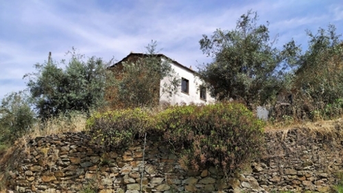 Covões Pampilhosa Da Serra Haus Bild 327257