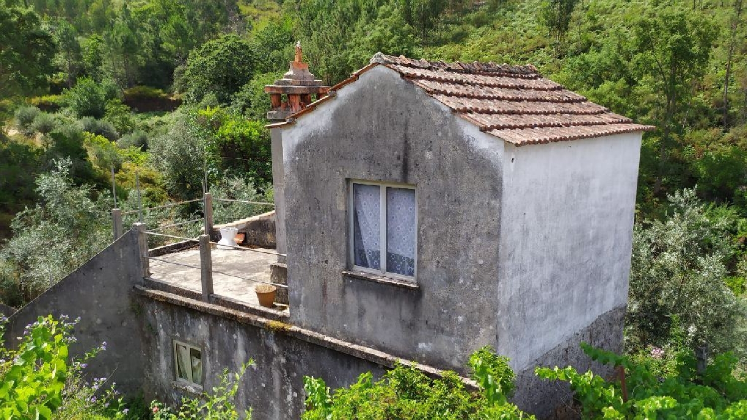 kaufen Haus Covões Pampilhosa Da Serra 2
