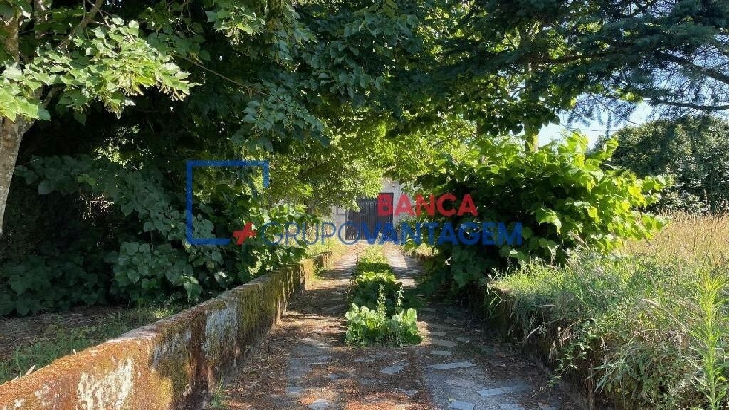 te koop huis Cunha Alta Mangualde 3