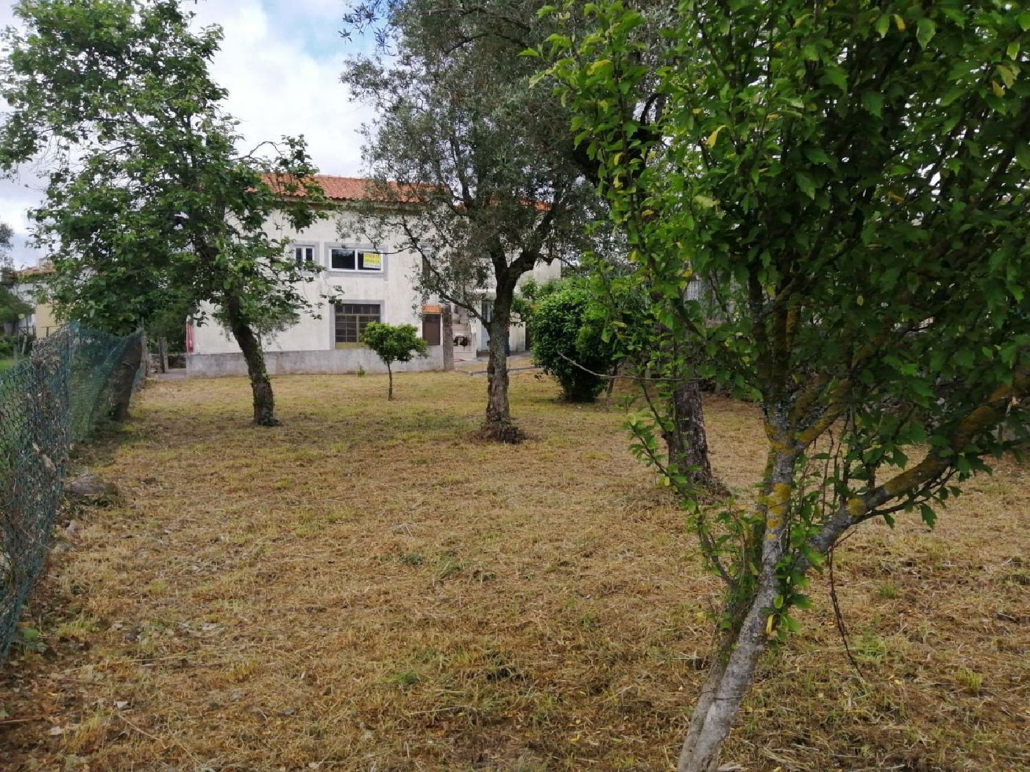 for sale house Escariz Vila Real 3