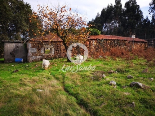 Esmeriz Vila Nova De Famalicão casa foto 320678