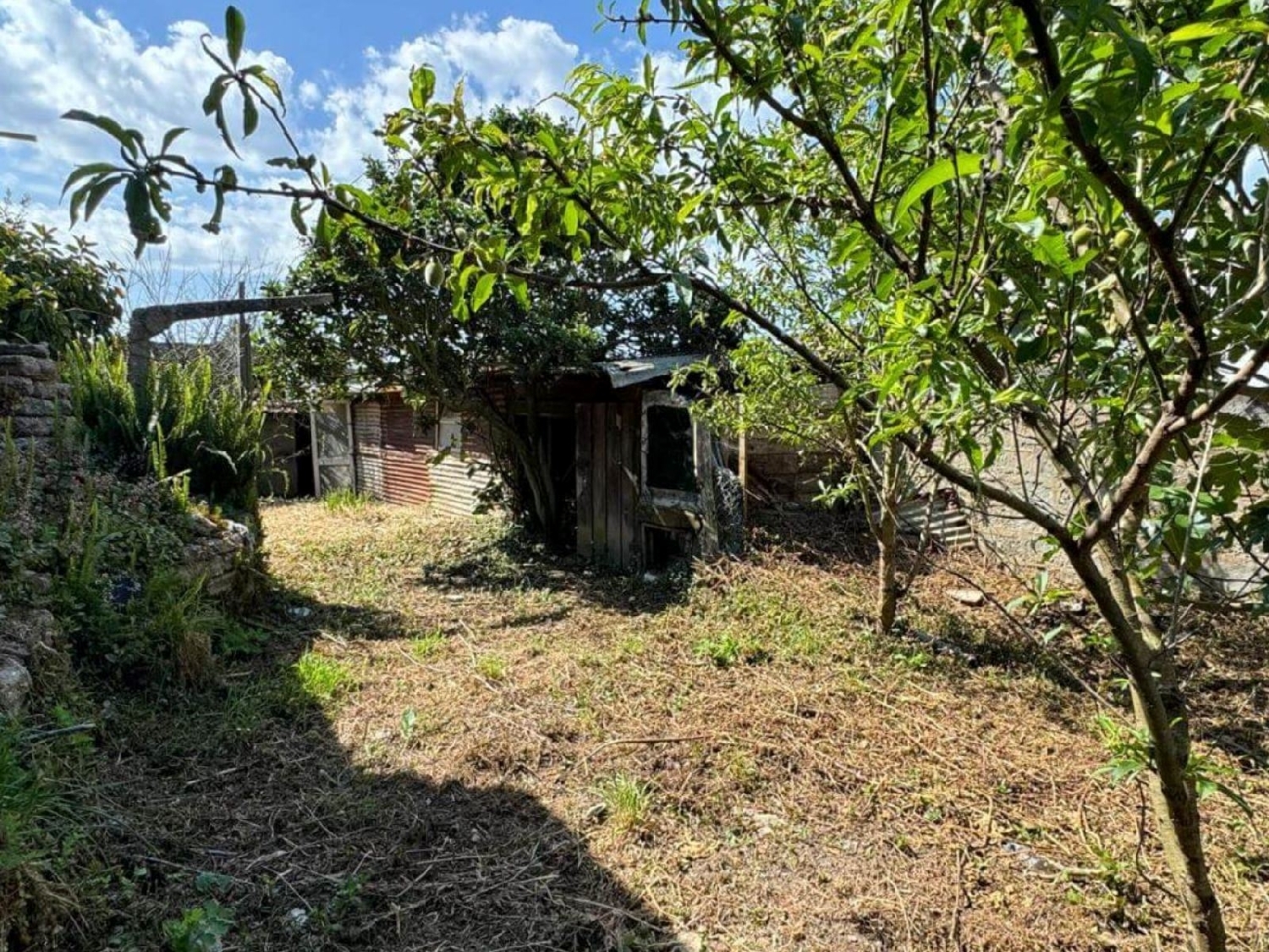  for sale house Espinho Espinho 1
