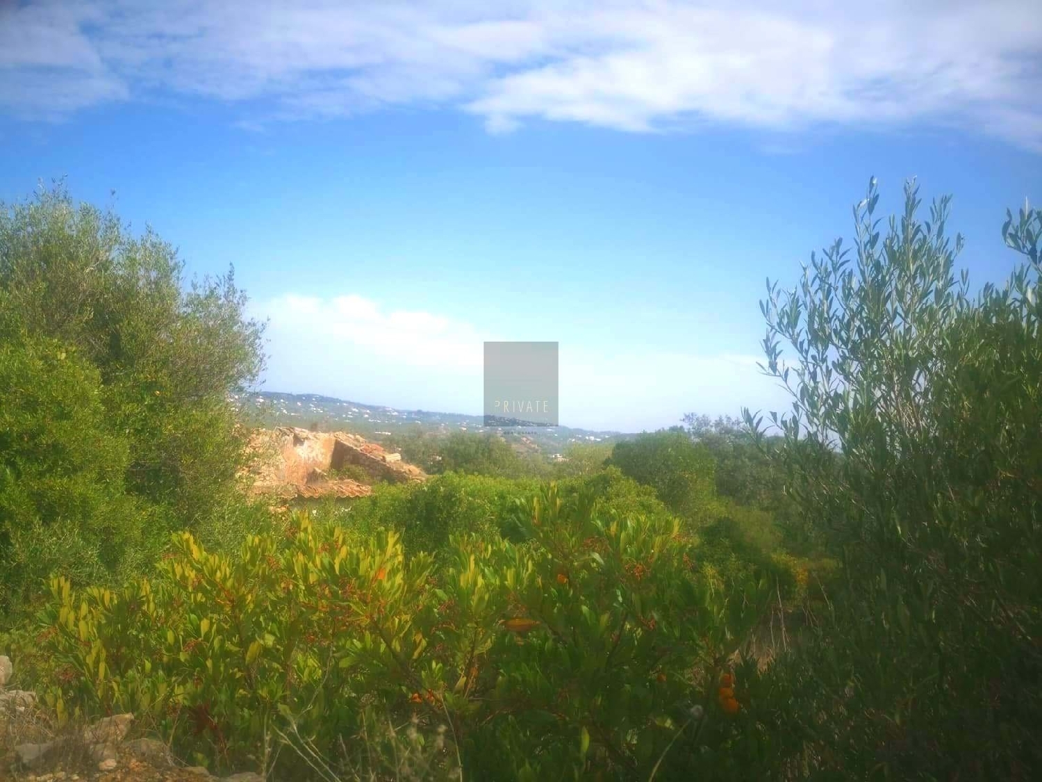  à venda casa Estoi Faro 5