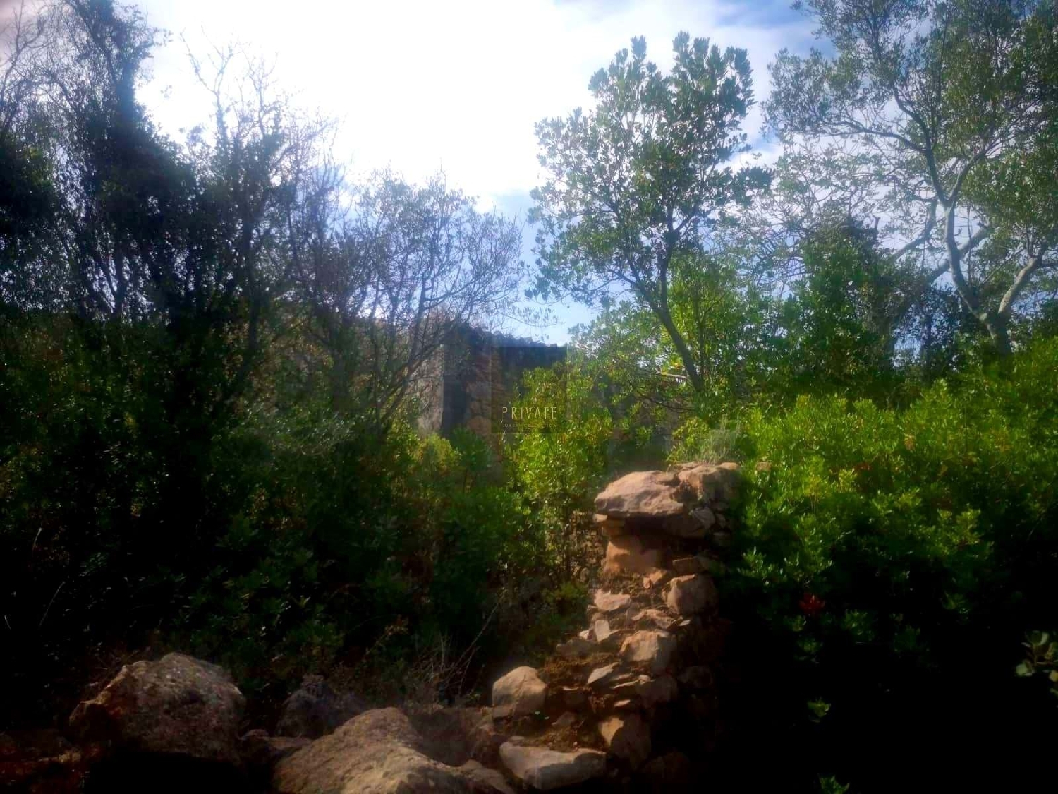  à venda casa Estoi Faro 6