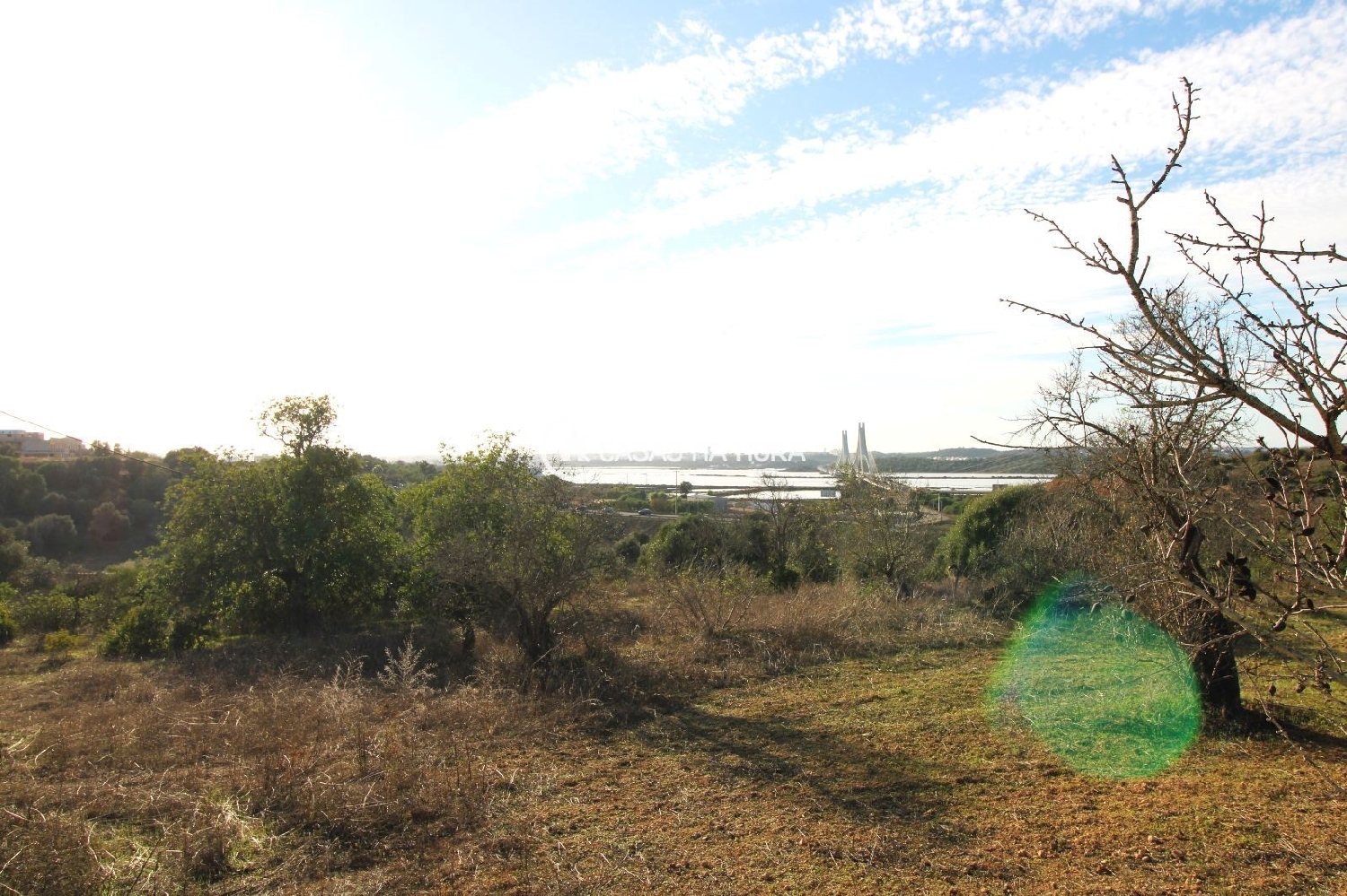  kaufen Haus Estombar Lagoa (Algarve) 1