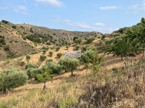 Eucisia Alfândega Da Fé huis foto 320157