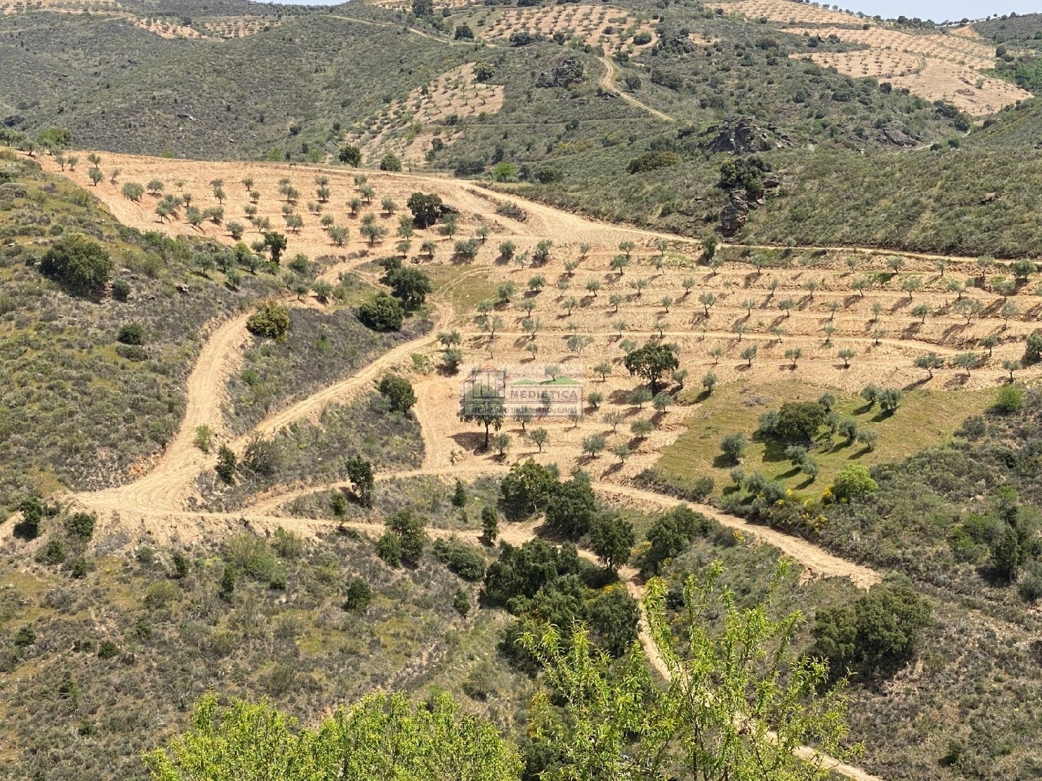  à venda casa Eucisia Alfândega Da Fé 1