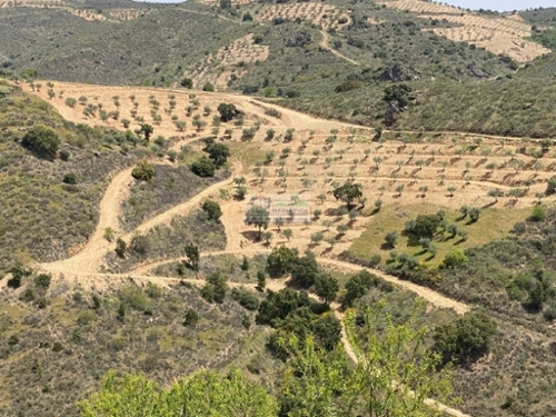 Eucisia Alfândega Da Fé casa foto 320177