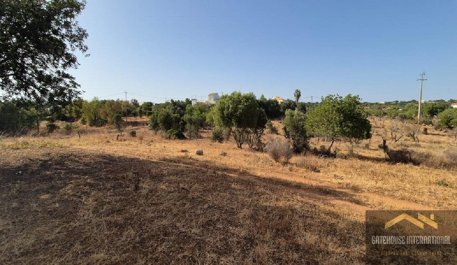  à venda casa Faro Esposende 4