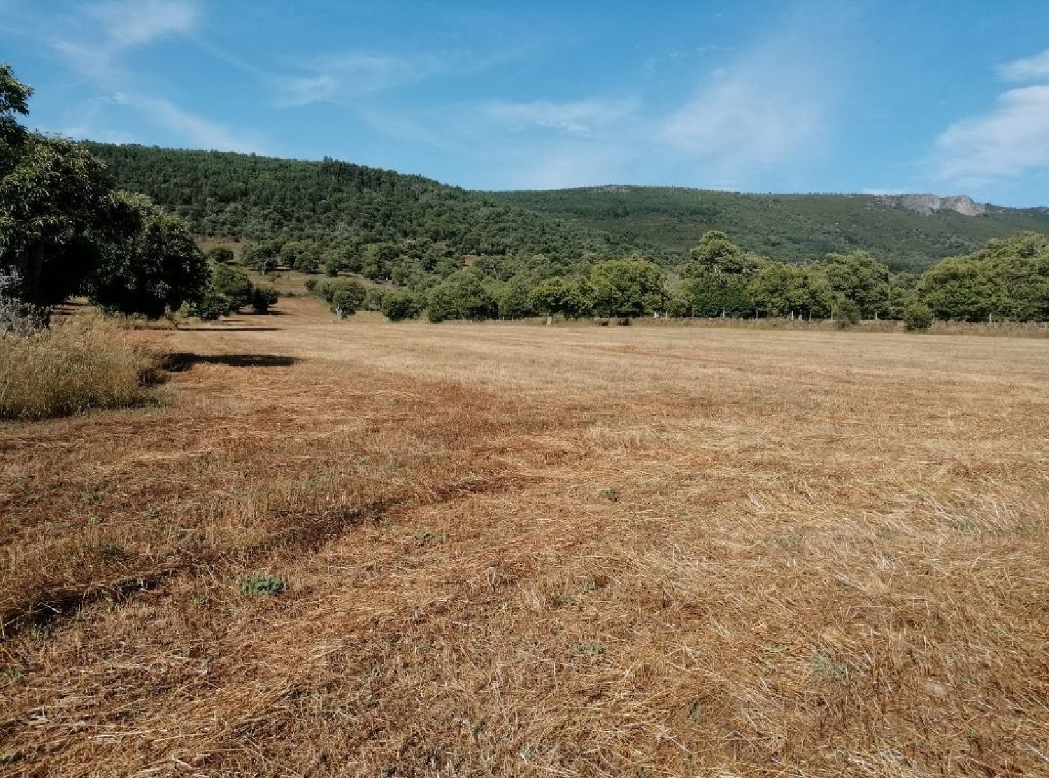 te koop huis Fonte de Souto Marvão 3