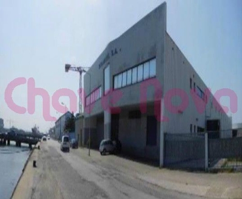 Gafanha da Encarnação Ílhavo casa foto 321595