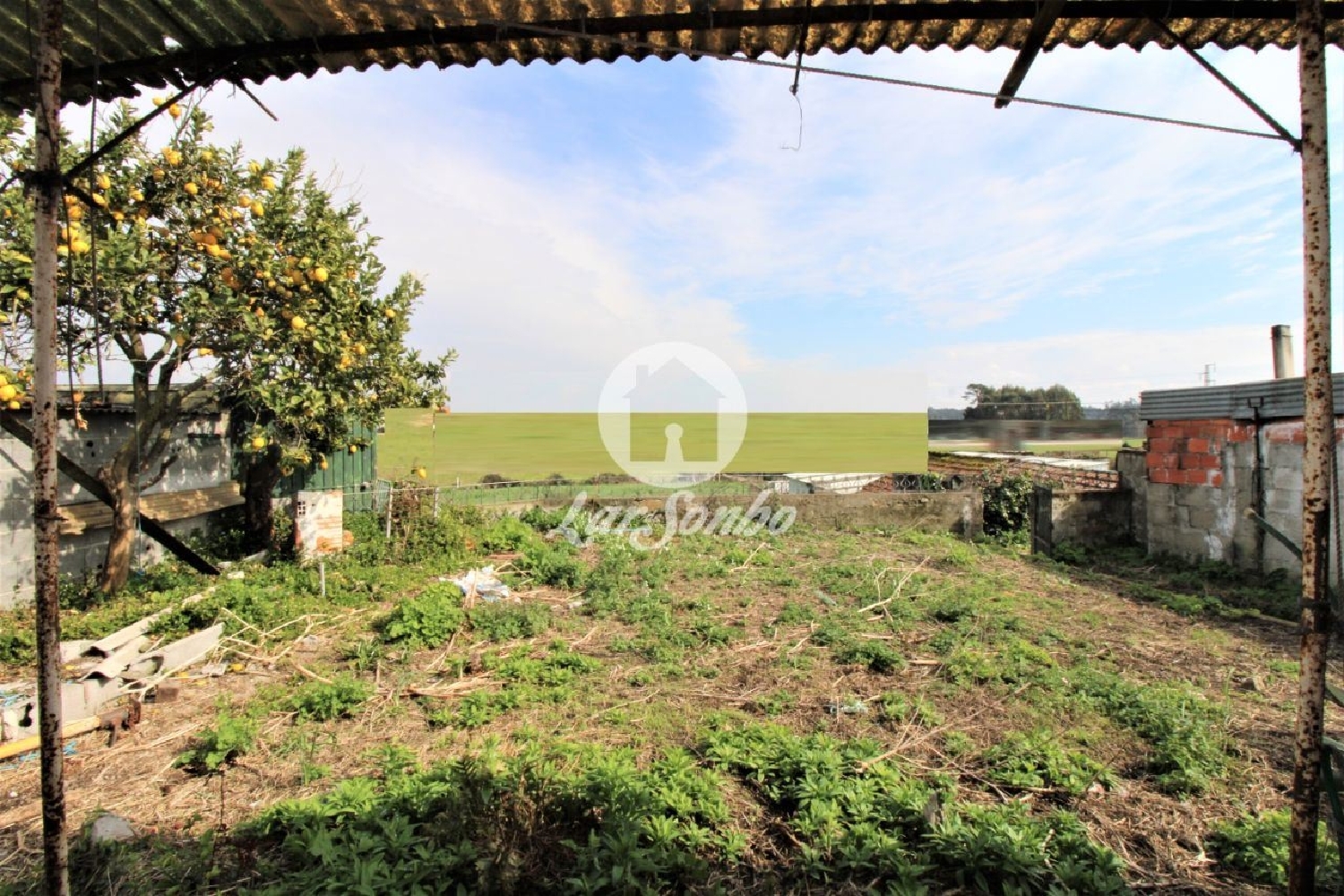 kaufen Haus Gião Vila Do Conde 2