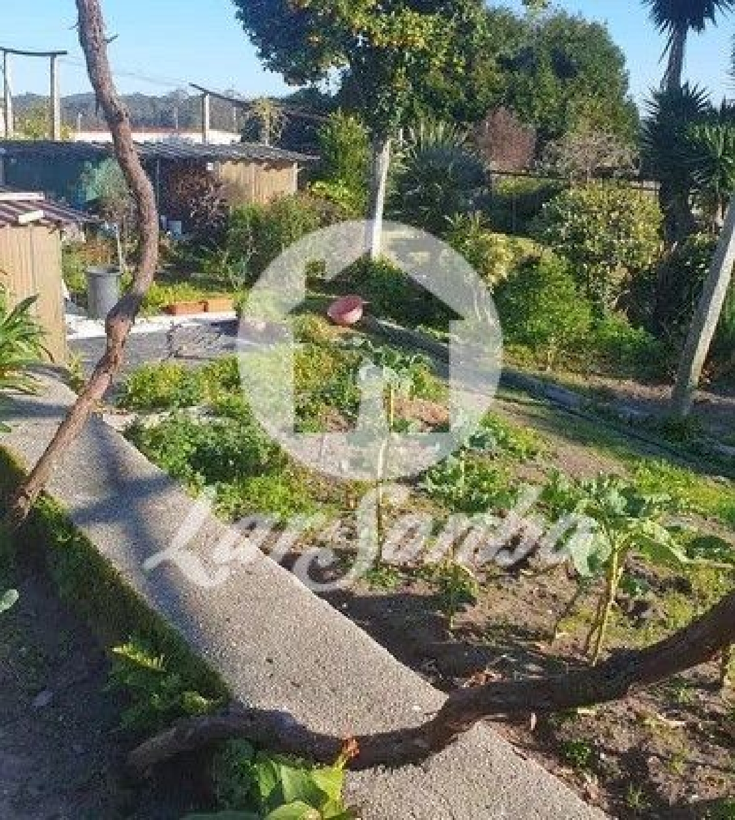  à vendre maison Gião Vila Do Conde 1