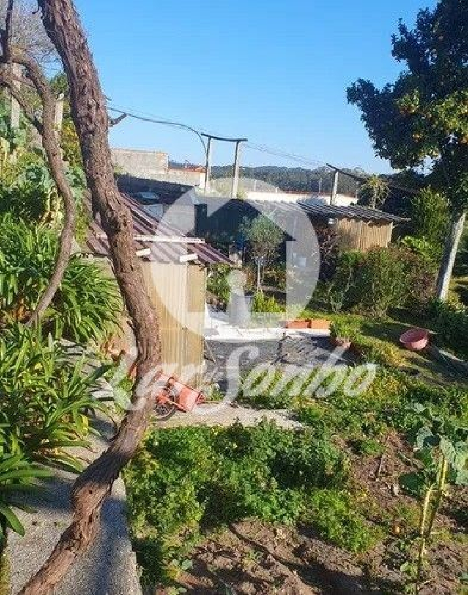 te koop huis Gião Vila Do Conde 3