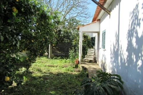 Golegã Golegã casa foto 328478
