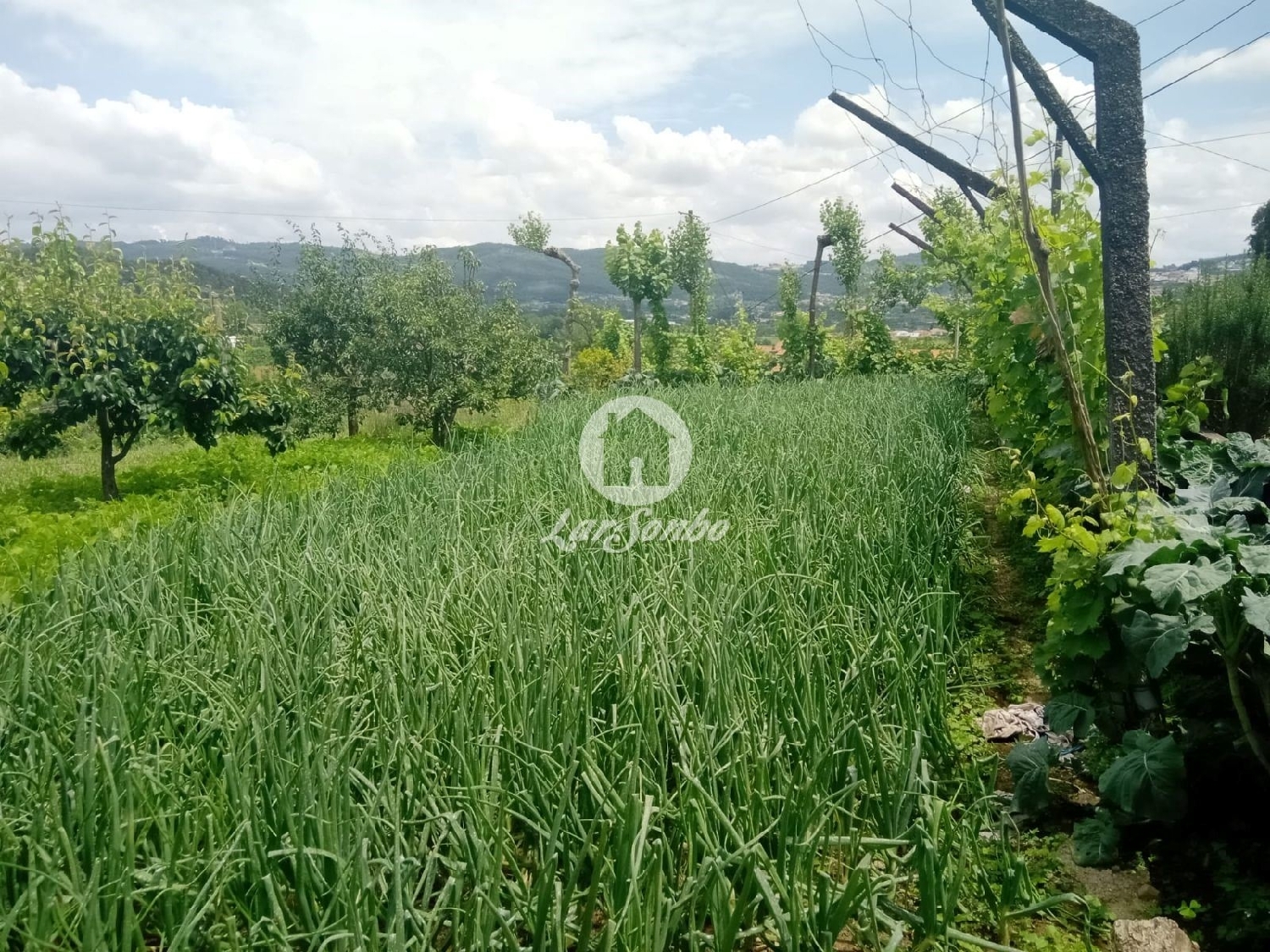 te koop huis Gominhães Guimarães 2