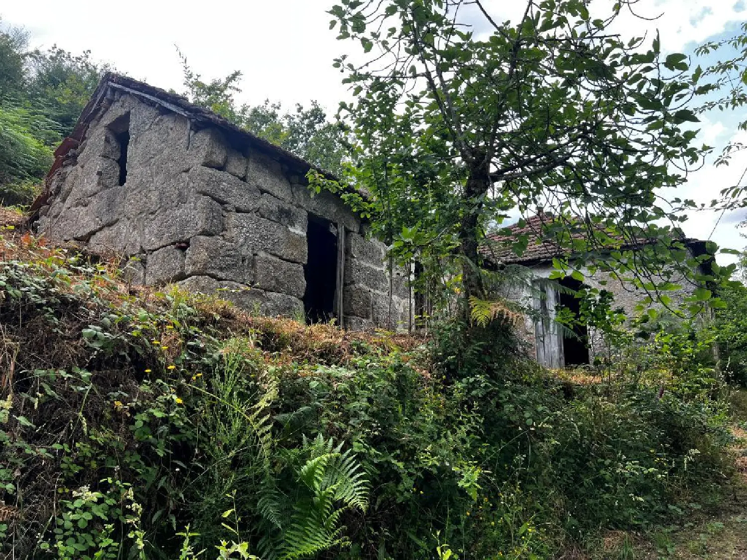  te koop huis Gondar Amarante 1