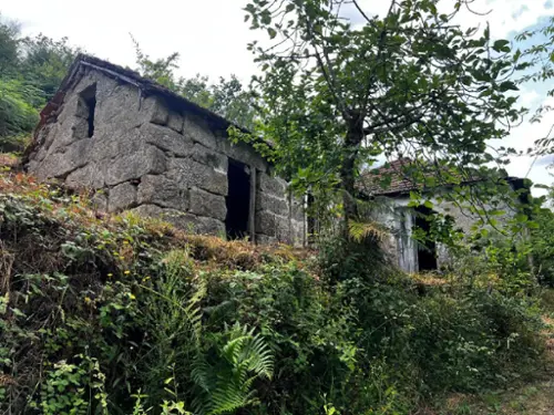 Gondar Amarante 屋 foto 318271