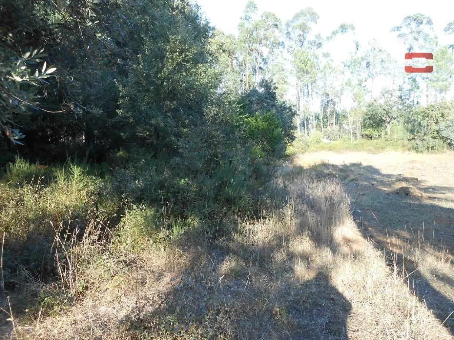  te koop huis Gondemaria Ourém 1