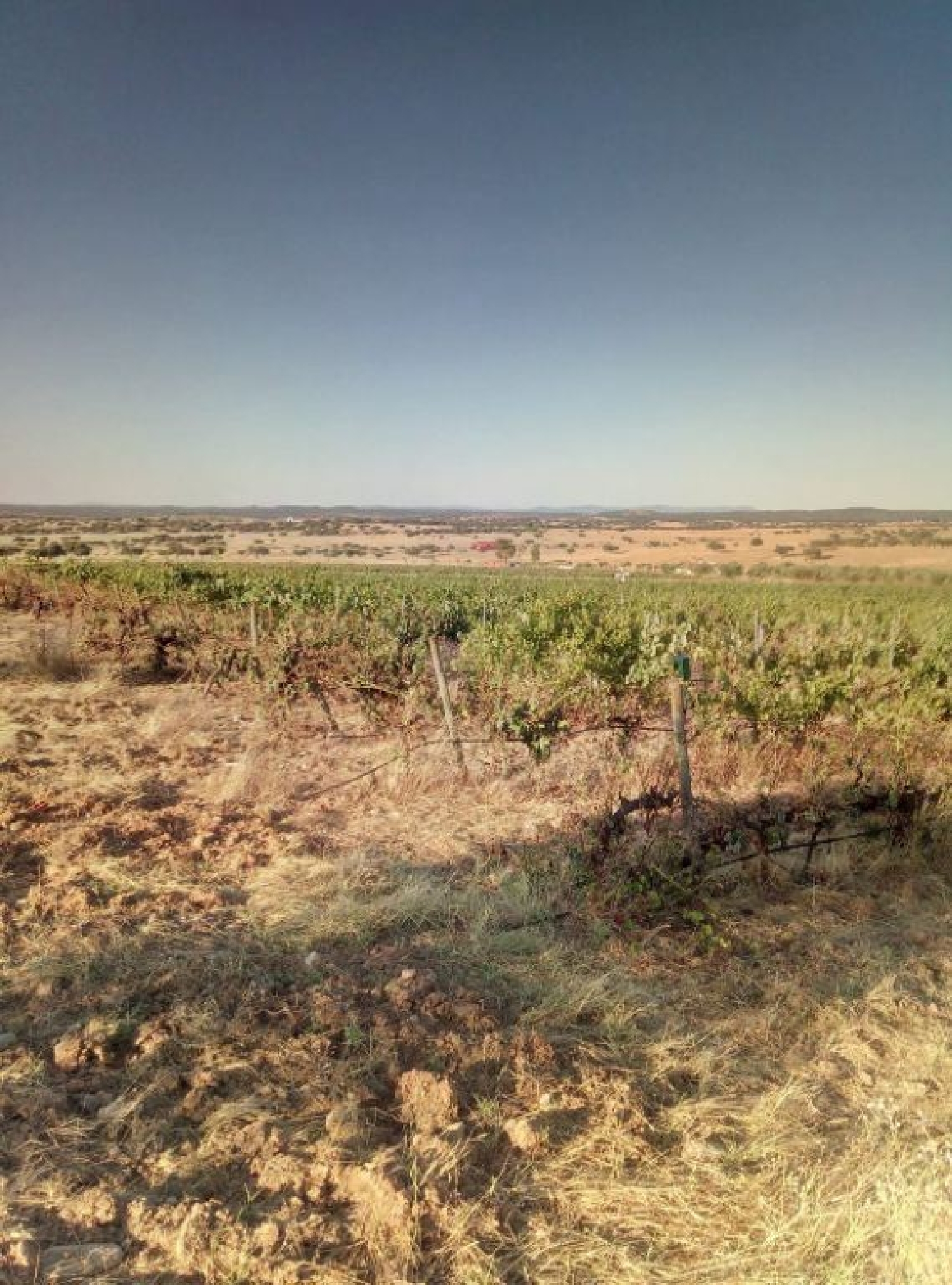  te koop huis Granja Mourão 2