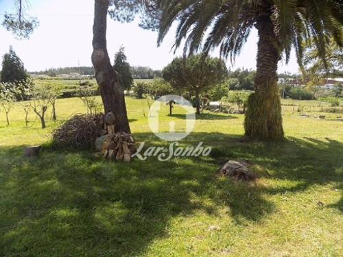 Guilhabreu Vila Do Conde casa foto 320683
