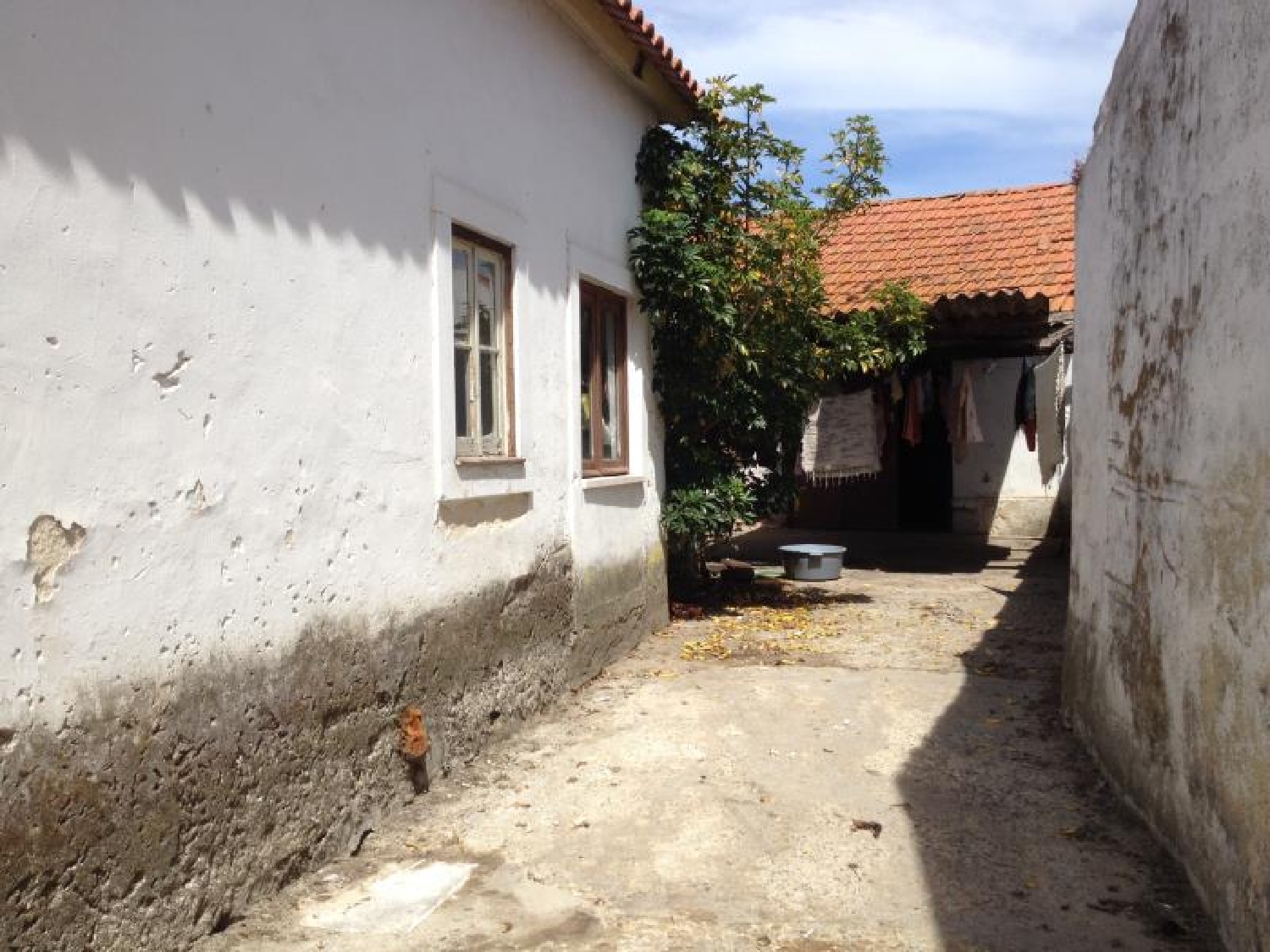 for sale house Juncal Porto De Mós 2