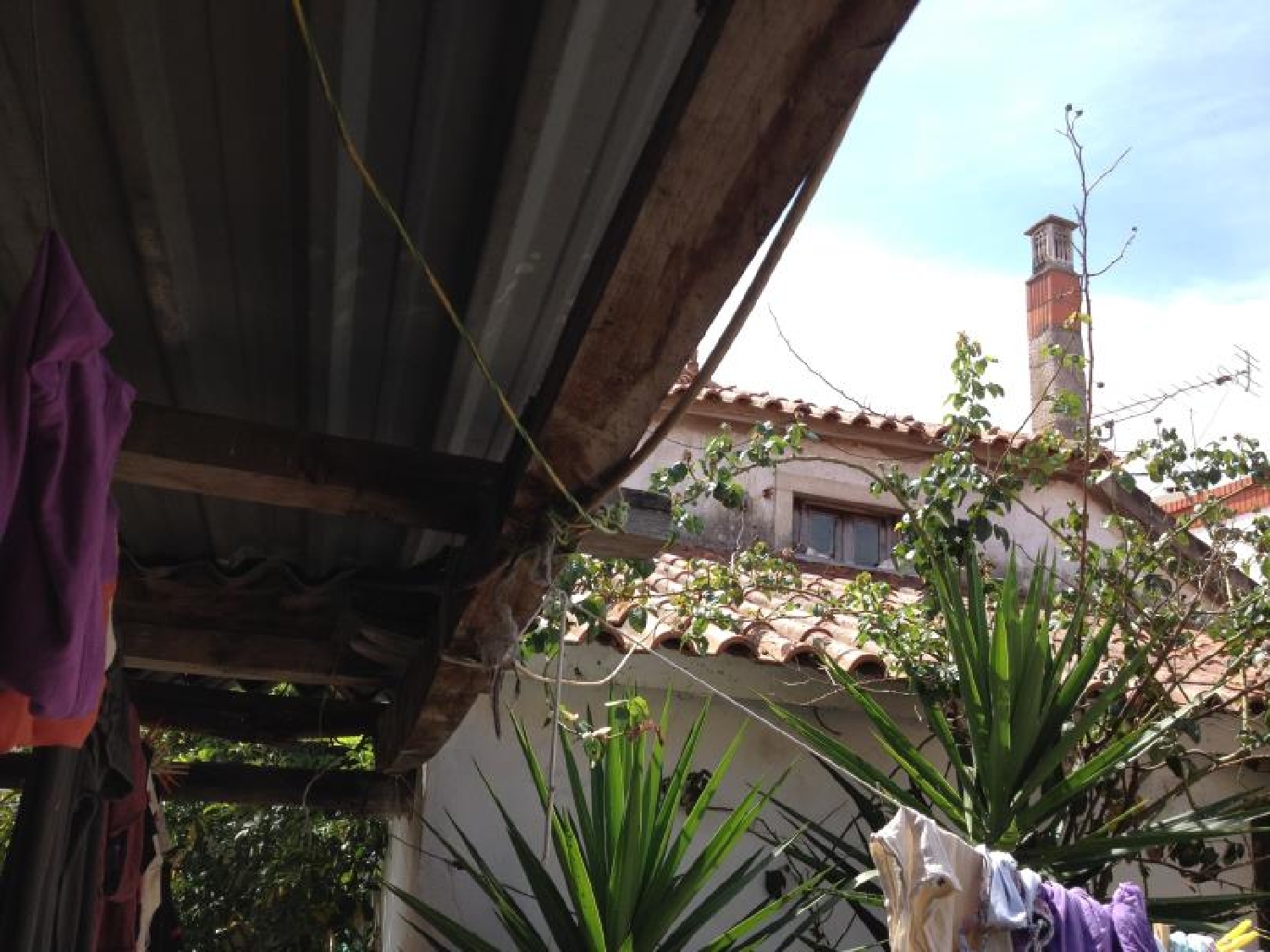 for sale house Juncal Porto De Mós 3