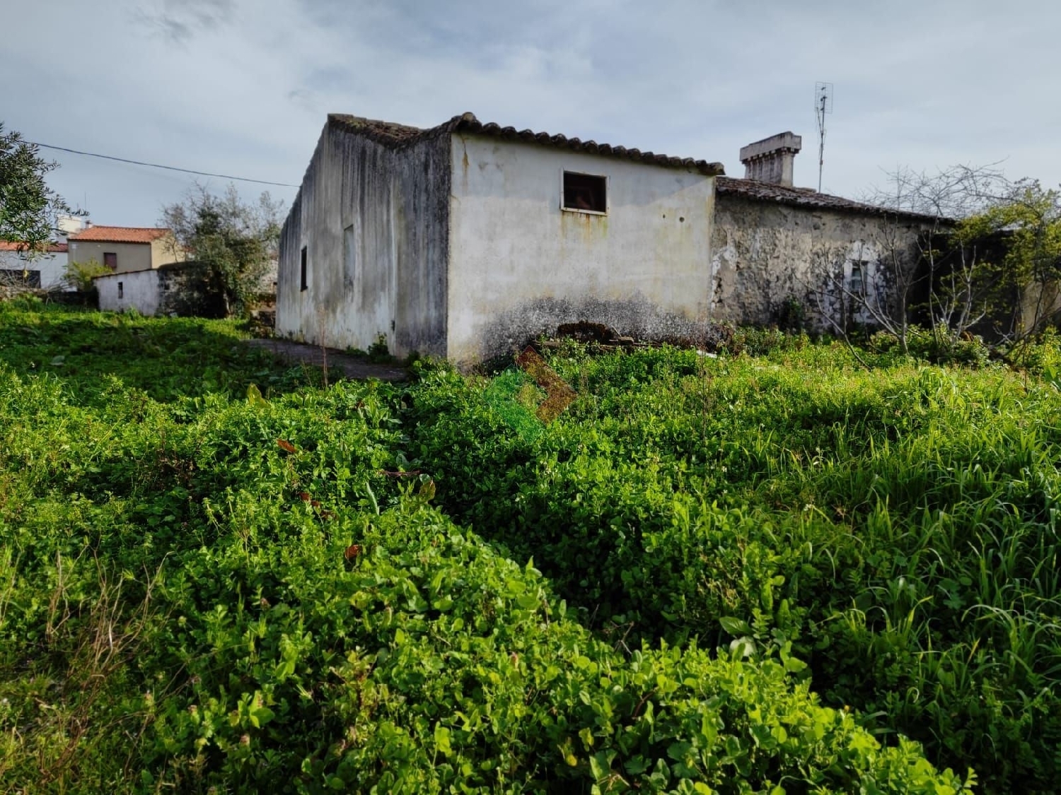  te koop huis Laginha Marvão 2