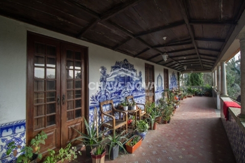 Lama Santo Tirso casa foto 322333