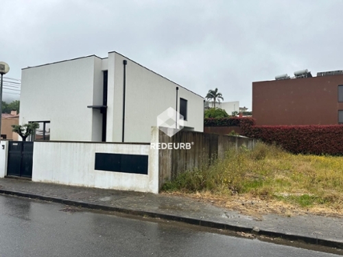 Lama Barcelos Haus Bild 328126