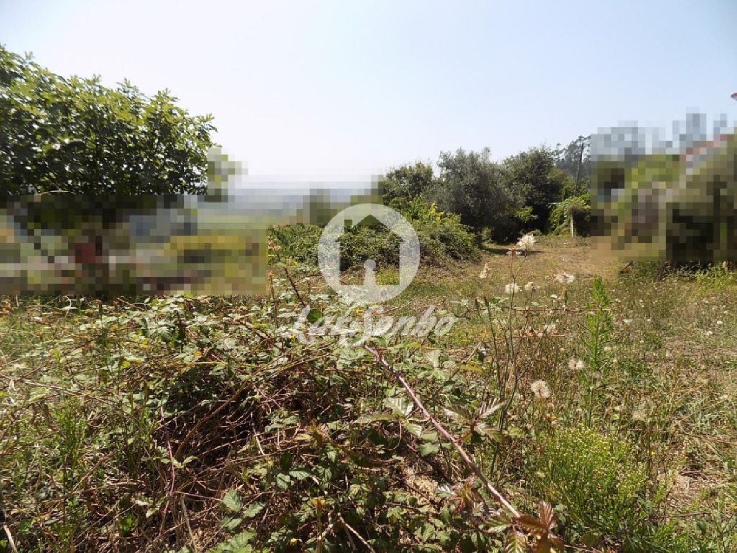  à vendre maison Lemenhe Vila Nova De Famalicão 3
