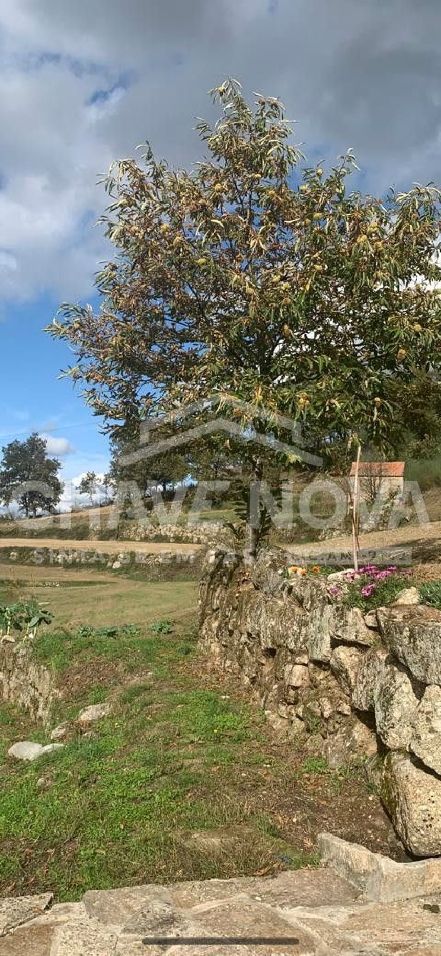  出售 屋 Linhares Vila Real 3