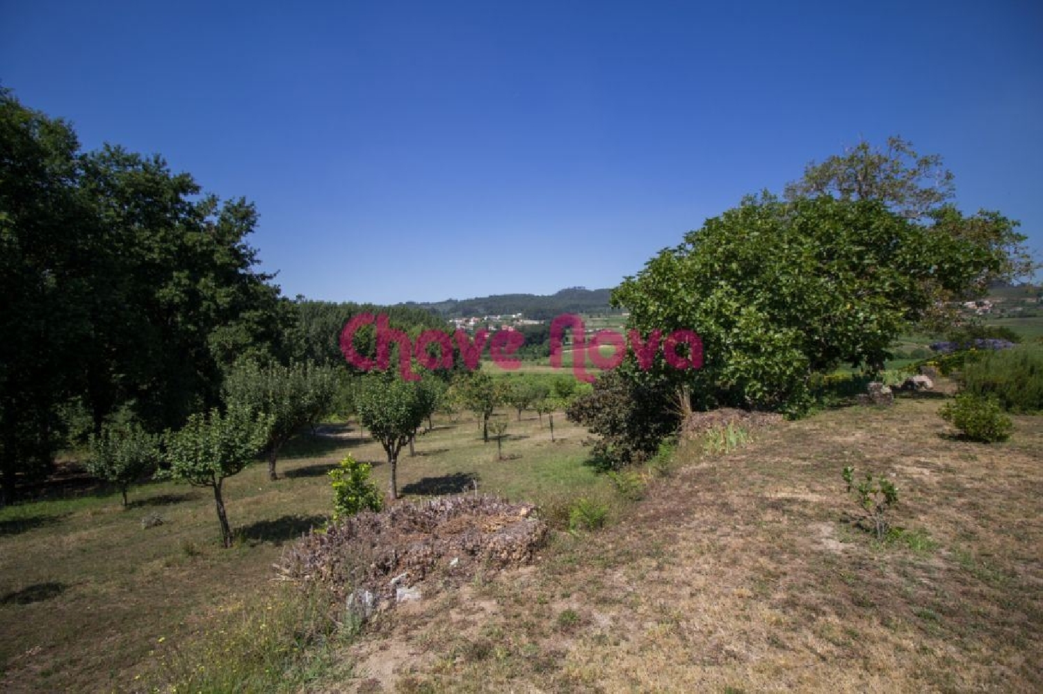  te koop huis Lousada Lousada 3
