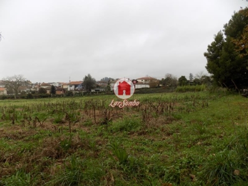 Lousado Vila Nova De Famalicão casa foto 320651