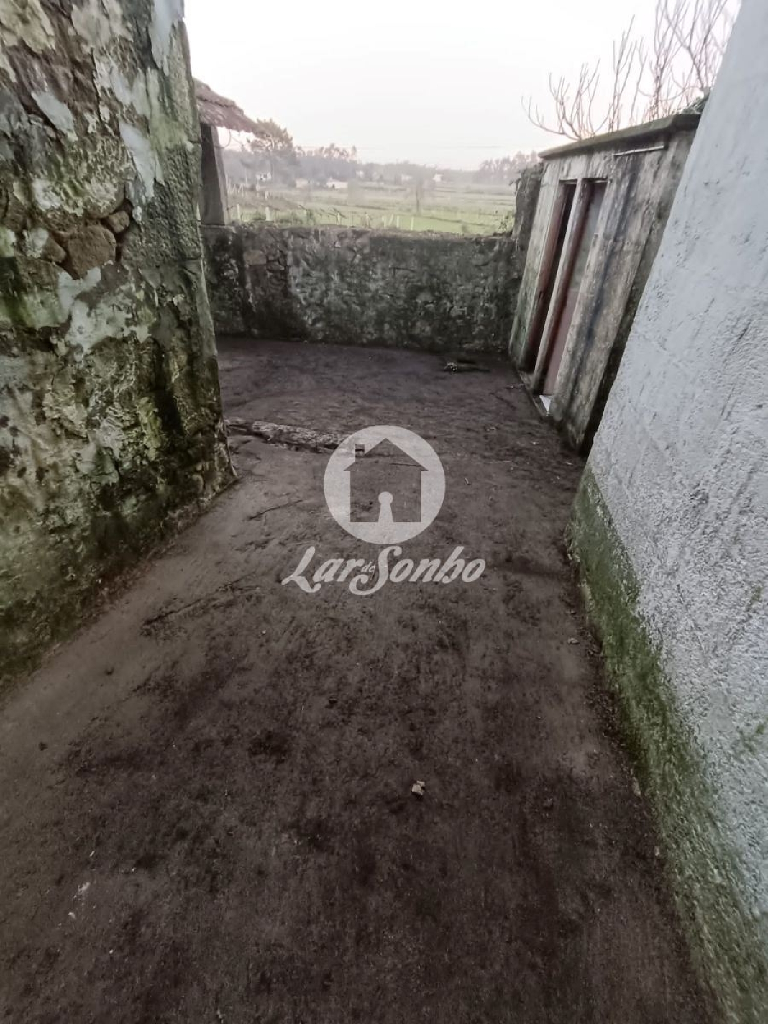 à venda casa Macieira da Maia Vila Do Conde 3