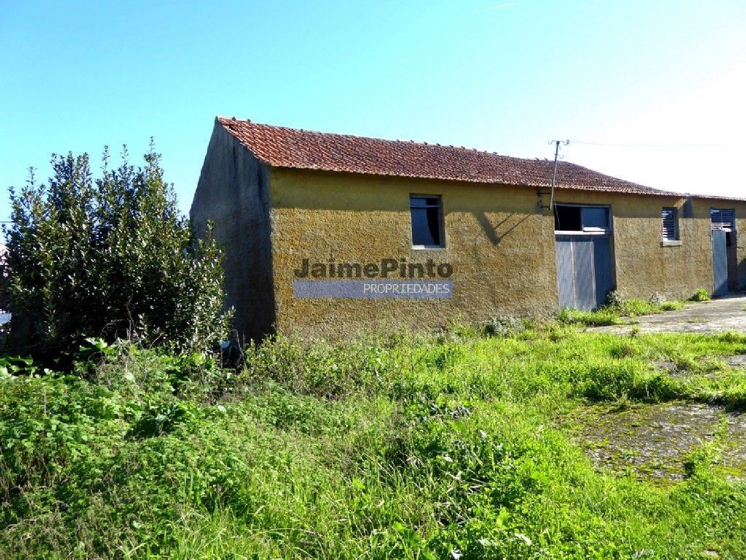  kaufen Haus Maiorca Figueira Da Foz 1