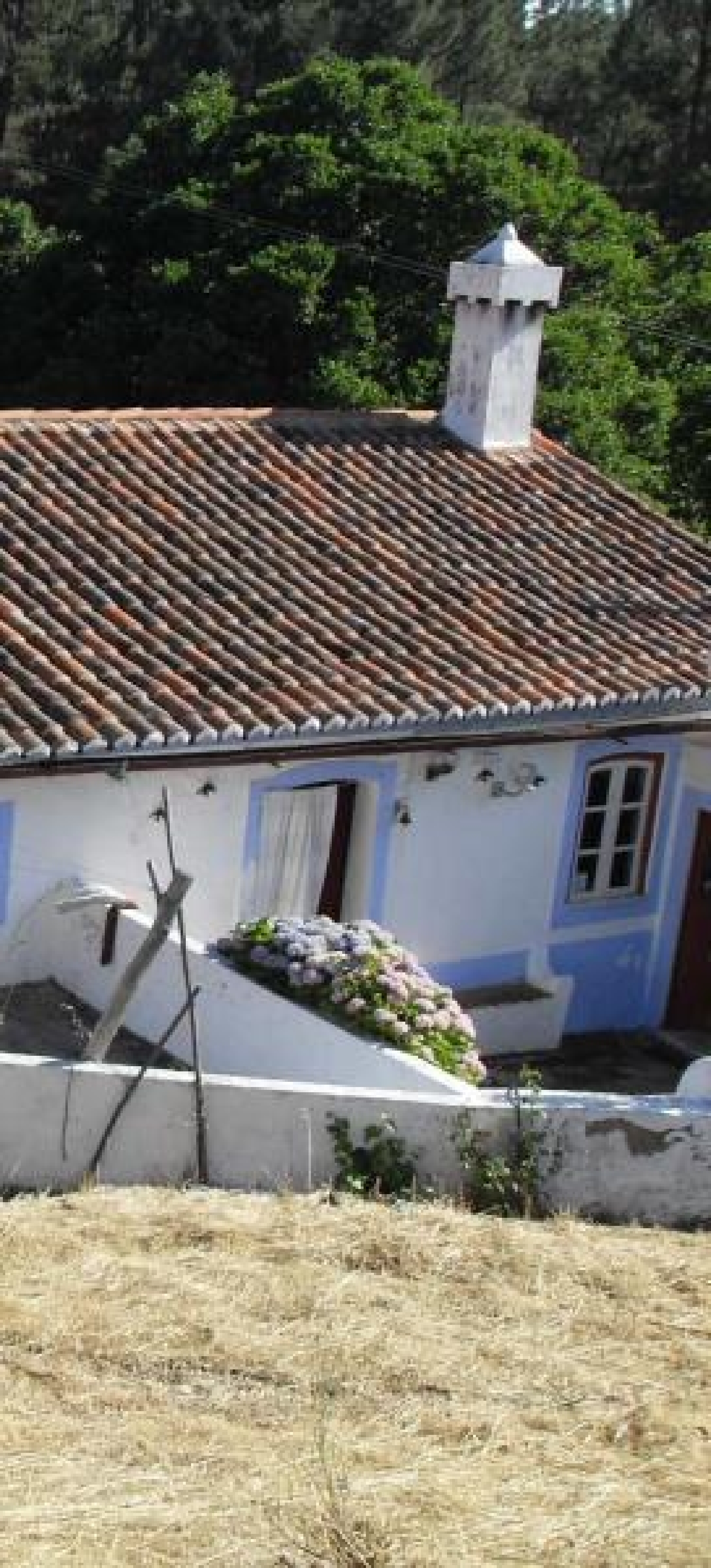  à venda casa Marvão Marvão 2