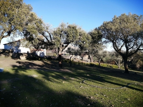 Marvão Marvão house foto 324702