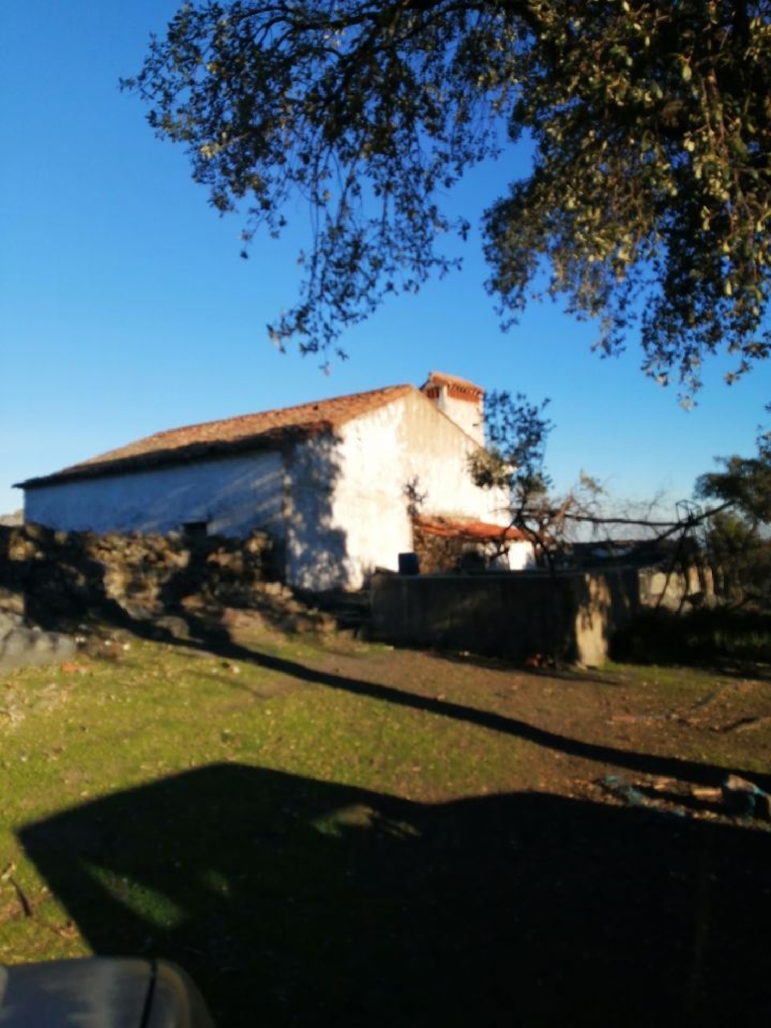  for sale house Marvão Marvão 3